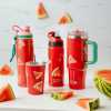 Obrázok pre Termo fľaša 500 ml MELON