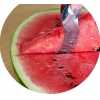nôž na melón / nůž na meloun